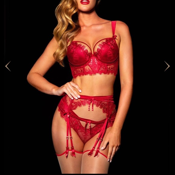 Honey Birdette Other - Madison 3 piece set Vintage Honey Birdette bra suspender & panty